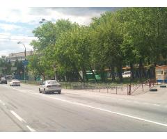 Продам участок в Киеве на Оболони со своими соснами!